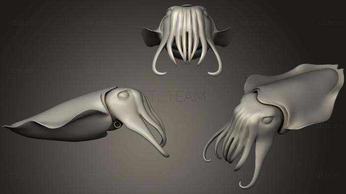 3D model Cuttlefish (STL)